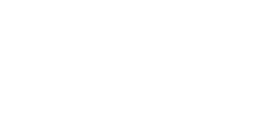 11 Cyber Services